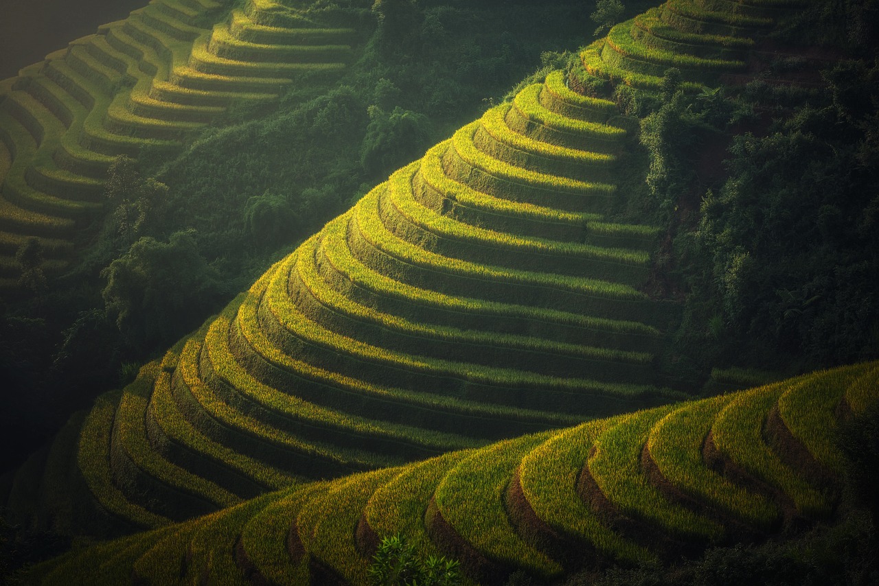 The Importance of Supporting Local Farmers